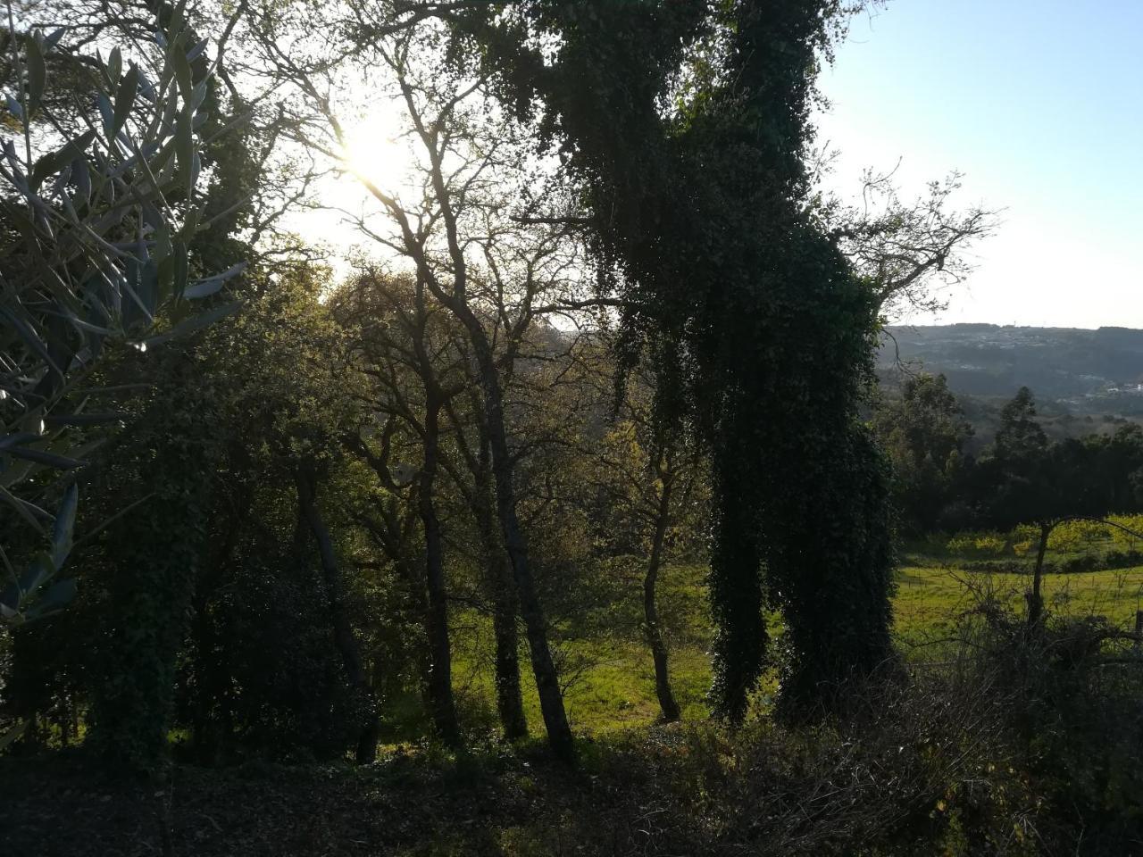 Vila Quinta Vale Real Alcobaça Exteriér fotografie
